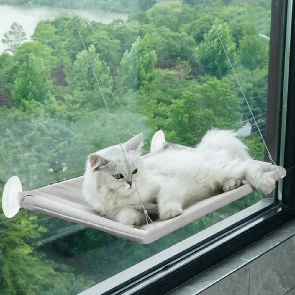 Light blue perch for your cat to put in the window with suction